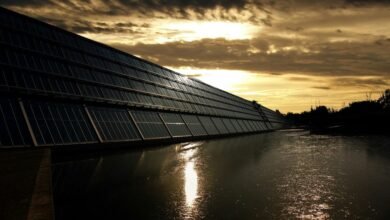invest in green energy