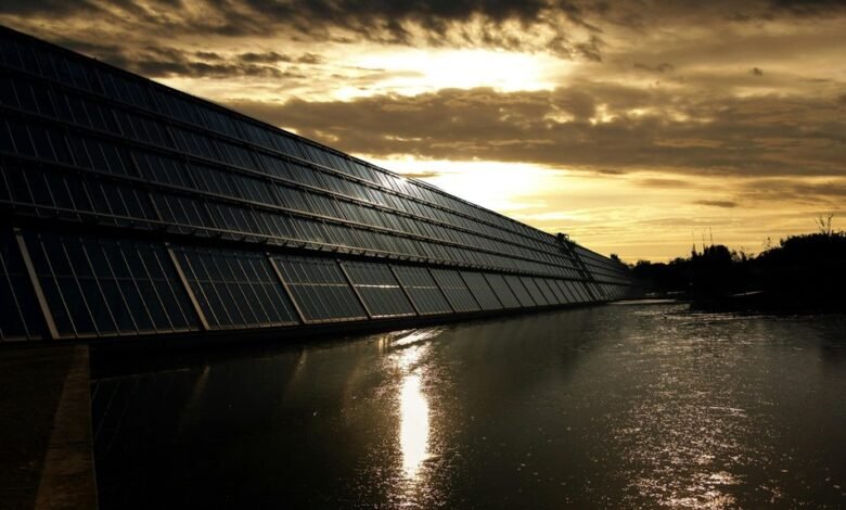 invest in green energy