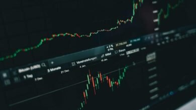 top stocks to watch