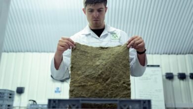 future growth analysis report