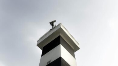 industry data analysis report