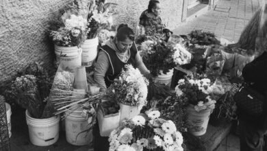 market intelligence data summary