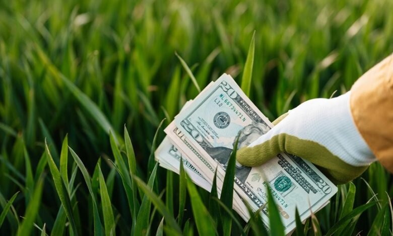 dynamic strategic growth impact