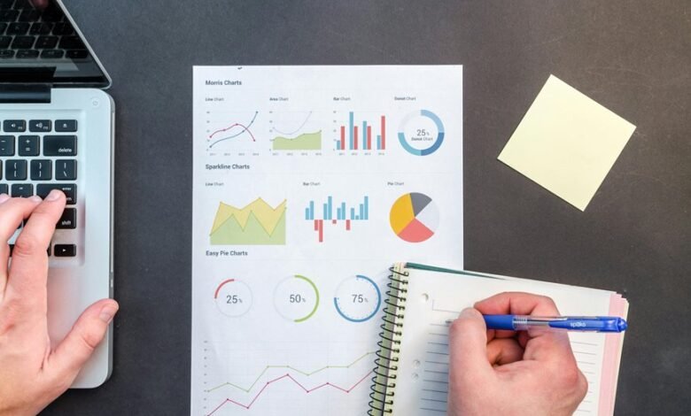 ip activity report details