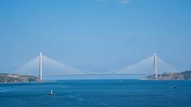 nova bridge growth node