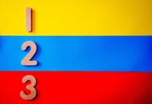 understanding 7875221519 step by step